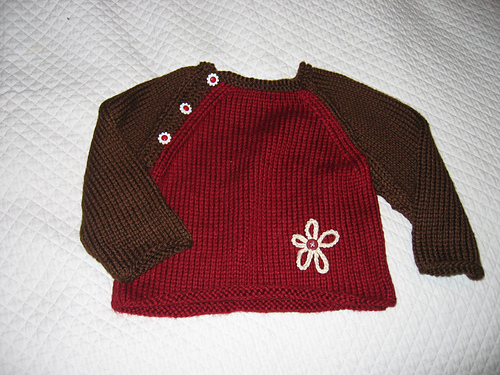 Embroidered Raglan Sweater
