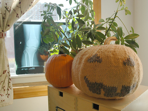 Pumpkin Cozy