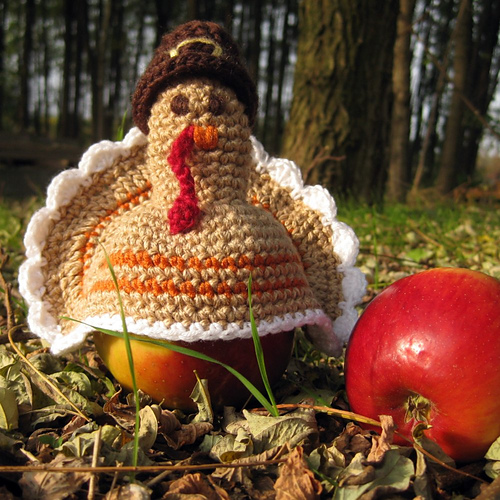 Turkey Apple Warmer