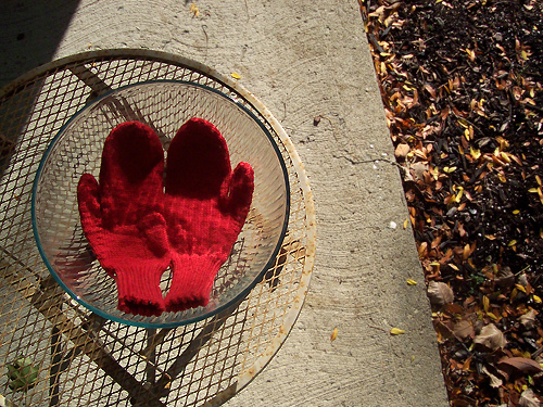 Mittens Medium Size