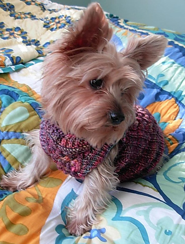 Puffer Dog Sweater