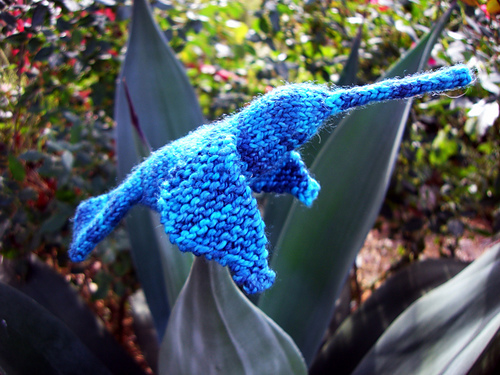 Hummingbird on Holiday