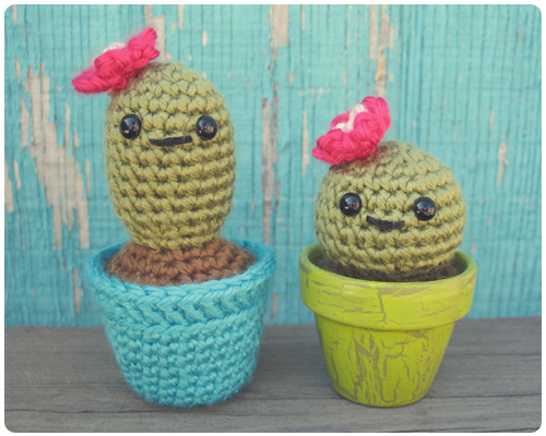 Tiny Cacti