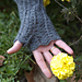 Hot little hands / chaud les mains pattern 