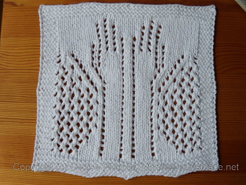 Blink Washcloth