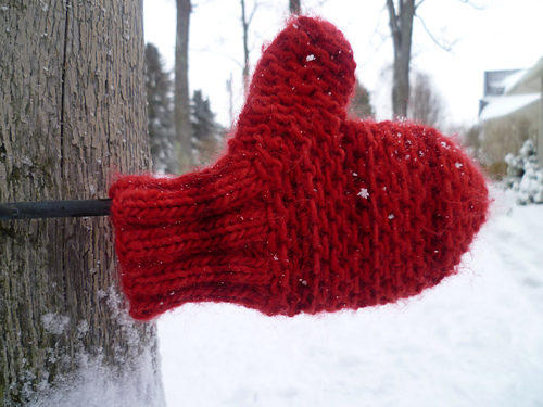Give Thanks Mitten