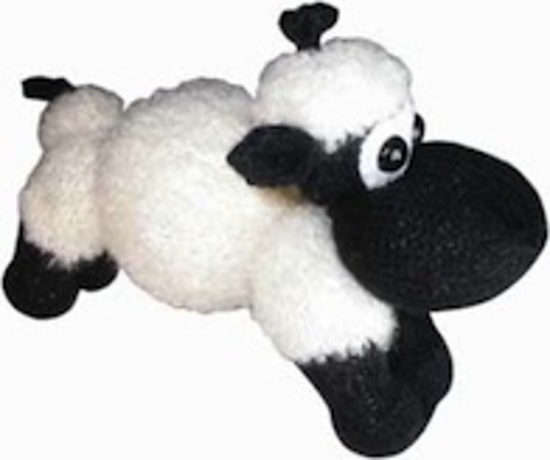 Sheep