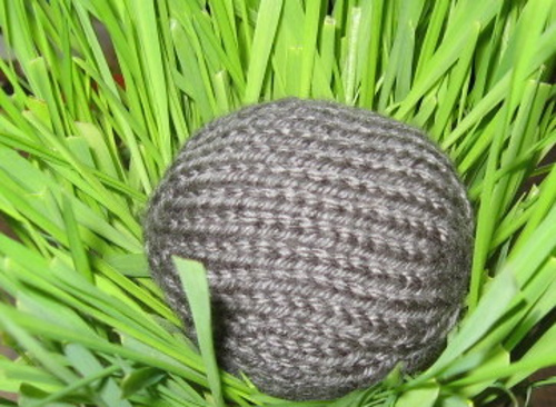 Pet Rock