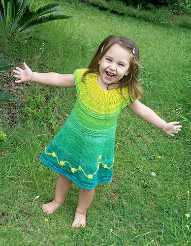 Maxi Top / Dress photo 6