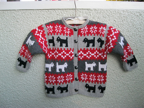Scottie photo 5
