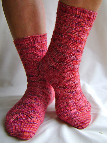 St Marco Socks