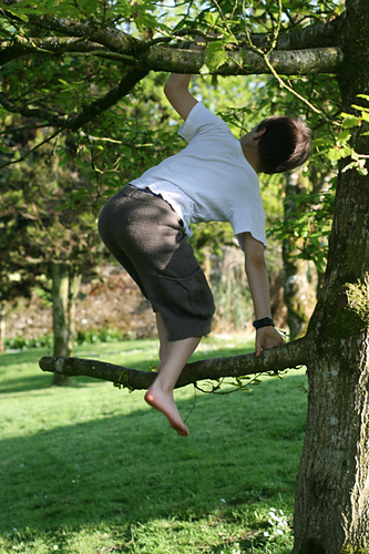 Ravelry: Milo pattern by Carol Feller