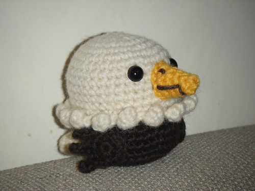 Cute Little Bald eagle