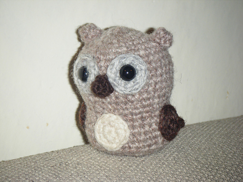 Cute Little Owl