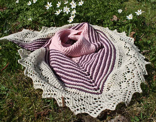 Tina's Shawlette