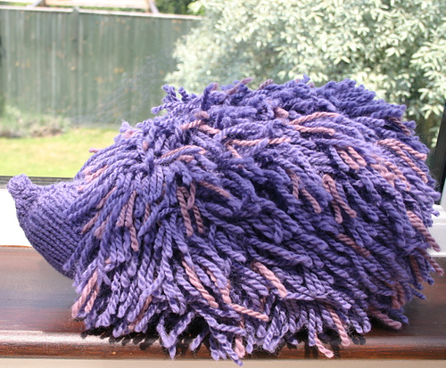 Hettie the Hedgehog photo 7