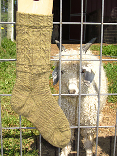 Ravelry: Chicken Scratch Gansey Socks pattern by Sandy Danielson