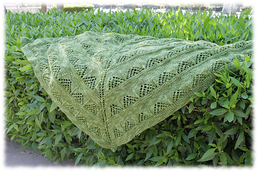 Shabak Shawl