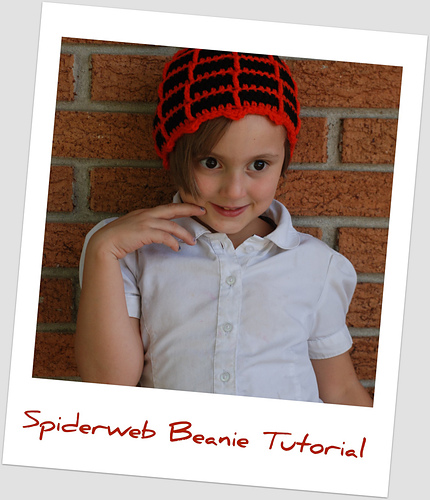 Spiderweb Beanie