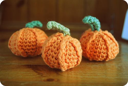 little pumpkins photo 3