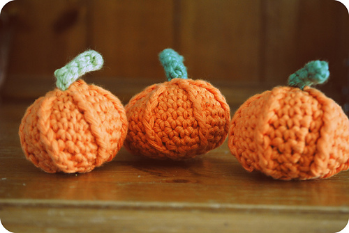little pumpkins photo 1