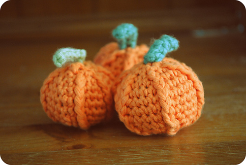 little pumpkins photo 2