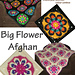 Big Flower Afghan pattern 