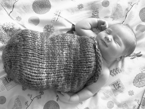 Laurel Love Cocoon photo 3