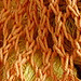 Elisa's Nest Tote photo 4