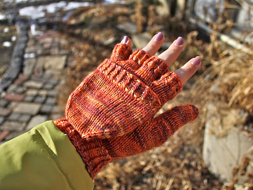Chilly Podsters photo 8