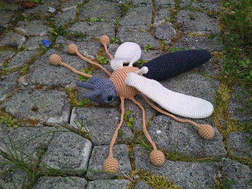 Great Big Crane Fly