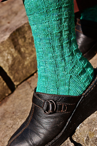 Crocodylia Socks