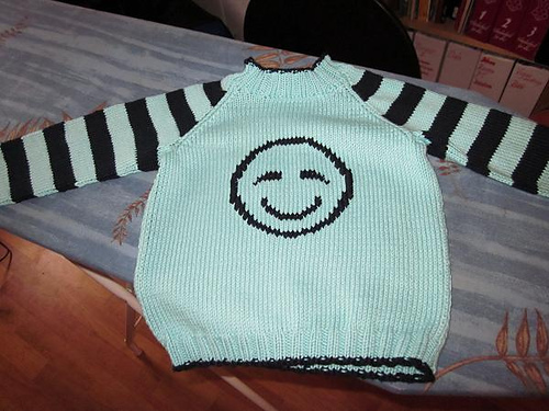 111-1743 Raglan genser med brodert motiv