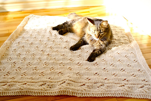 Baby in the Garden Blanket