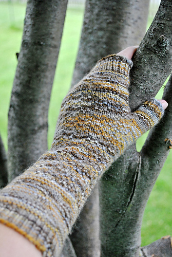 Companion Mitts
