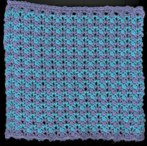 Portcullis Dishcloth
