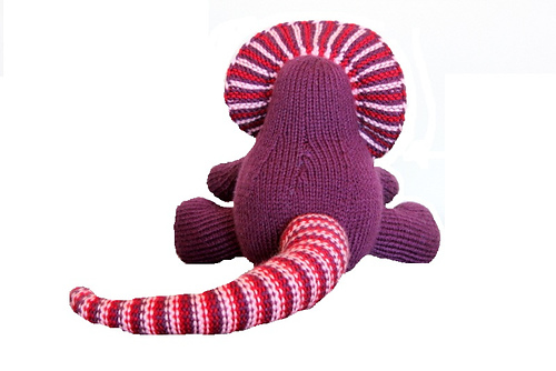 Fancy the Frilled Neck Lizard photo 4