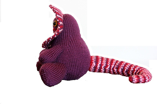 Fancy the Frilled Neck Lizard photo 5