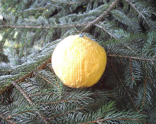 Grapefruit photo 4