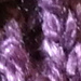 Simple Rosettes and Leaves photo 3