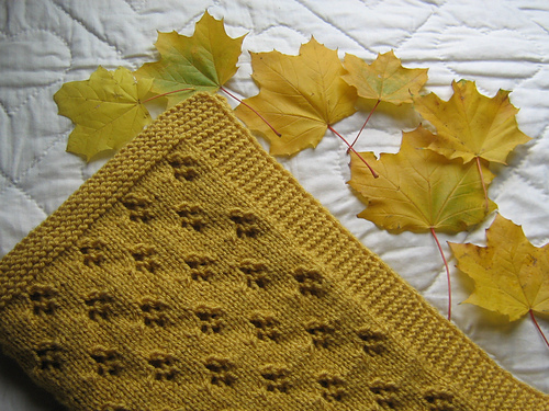 Allegra's Cover photo 6