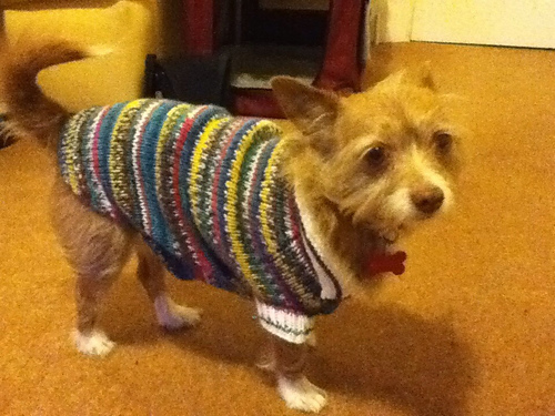 Football strip coat