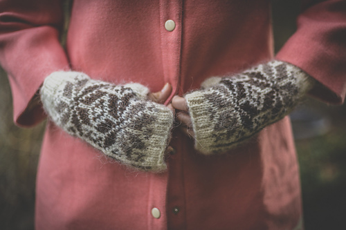 Snaefellsnes Mittens