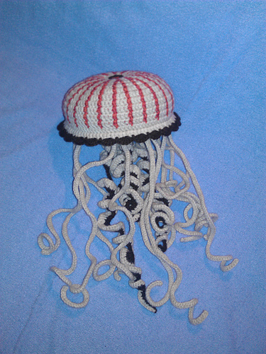 Compass Jellyfish