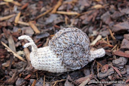 Snail — foto 3