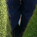 Kirme photo 3