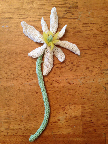 Bloodroot