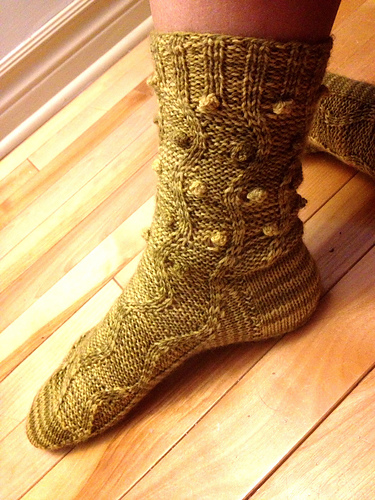 Alligator Socks