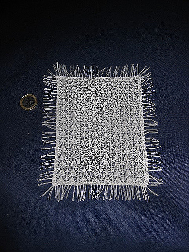 Lacy Fringed Shawl