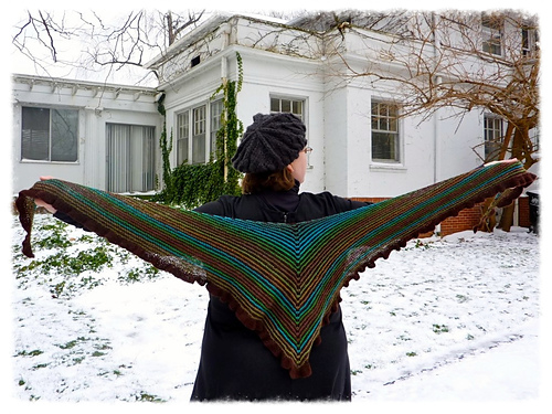 Katherina Shawl